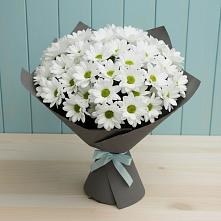 Букет цветов из:  Хризантемы #REPLACE_PRED# Верховажье
