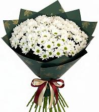 Букет цветов из:  Хризантемы в Верховажье