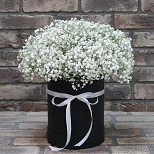Цветочная композиция из Гипсофила в шляпной коробке в Верховажье