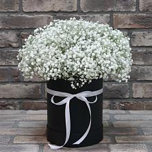 Цветочная композиция из Гипсофила в шляпной коробке в Верховажье