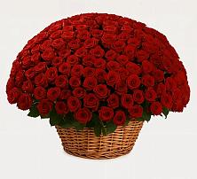 Премиум букет из: Розы в Верховажье